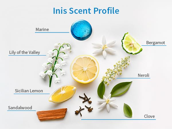 Inis the Energy of the Sea Reed Diffuser Set - Oil Diffuser - Ocean Fresh Fragrance for Home - Includes Fiber Reed Sticks, Fragrance Oil & Glass Bottle