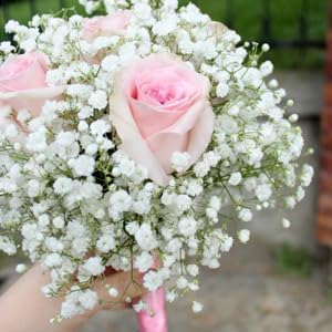 100 Pcs Baby Breath Artificial Flowers, Fake Babys Breath Gypsophila Flowers Bulk, Realistic Artificial Flowers Bouquet Flores Artificiales para Decoracion for Wedding Party Home Decoration