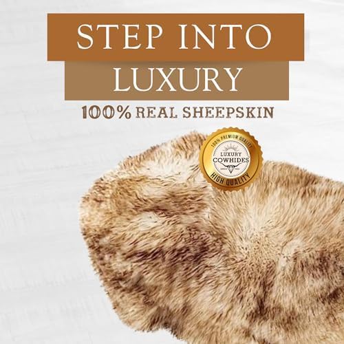 Sunshine Cowhides Sheepskin Rug - 100% Genuine Sheepskin Chair Throw Cover & Area Rugs for Living Room, Bedroom, Office Floor & Bathroom, Premium Decor for Aesthetic Living (Brown)