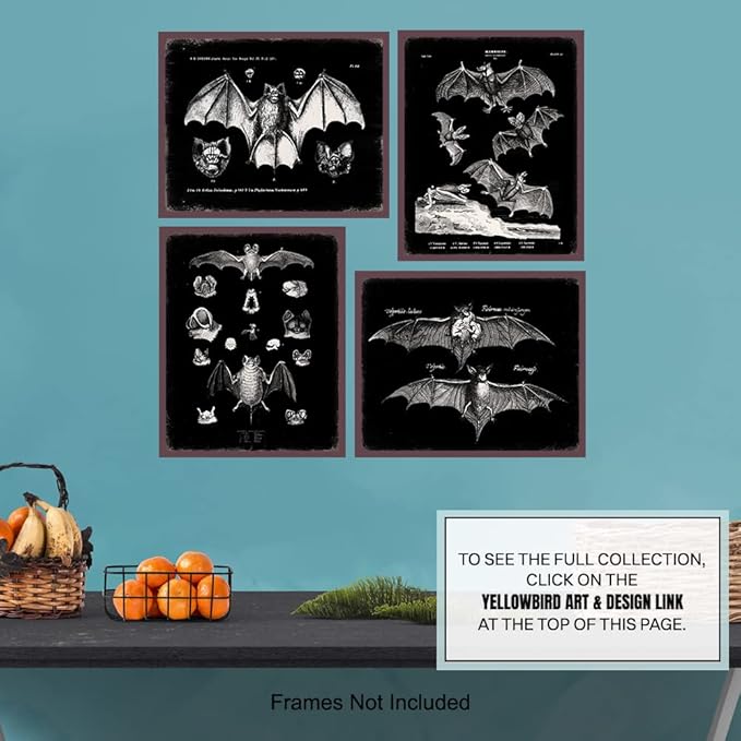 Black Bats Gothic Wall Decor - Vintage Retro Wall Art & Decor - Room or Home Decor - Hipster decoration - Horror Vampire bat Gift - Creepy Scary Anatomical Picture Poster print Set 8x10 UNFRAMED
