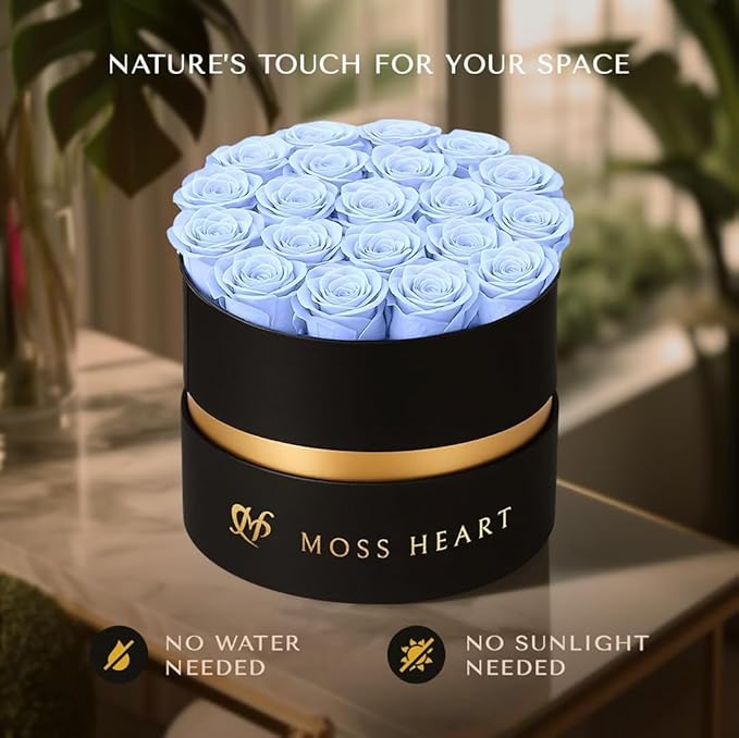 20 Mini Preserved Roses, Round Luxury Gift Box, Real Forever Roses Last 1+ Year, Premium Romantic Gift for Women, Wife, Girlfriend, Mother’s Day, Birthday, Anniversary, Valentine’s Day