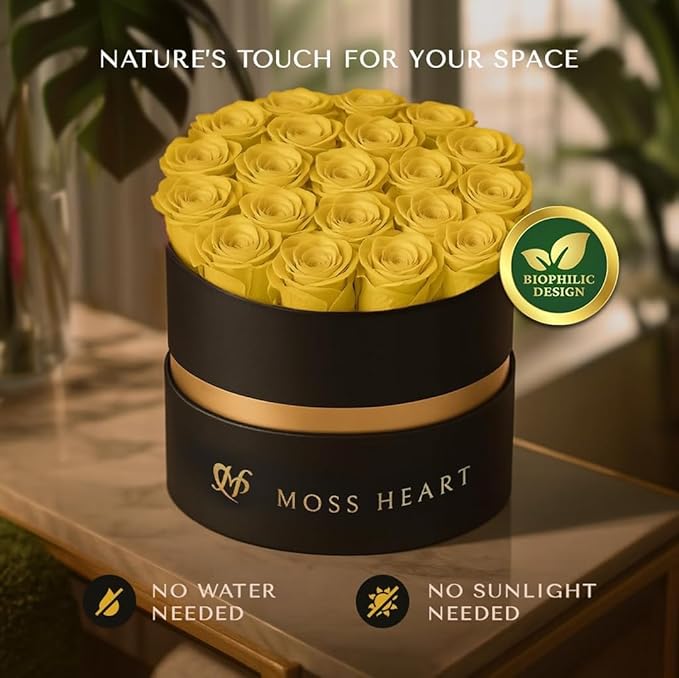 20 Mini Preserved Roses, Round Luxury Gift Box, Real Forever Roses Last 1+ Year, Premium Romantic Gift for Women, Wife, Girlfriend, Mother’s Day, Birthday, Anniversary, Valentine’s Day