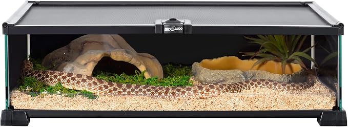 REPTIZOO Small Reptile Tank 20" x 12" x 6" Glass Reptile Terrarium with Top Feeding Habitat for Snake Spider