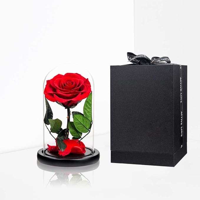 Preserved Roses Red Roses in Glass Dome, Medium, Preserved Flowers for Women