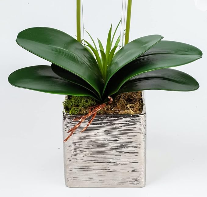 HOMESEASONS Orchid Lamp-LED Lighted Orchid Arrangements,Pre Lit Artificial Orchid,Light Up Flower Lights, Faux Orchid Phalaenopsis Arrangement (White)