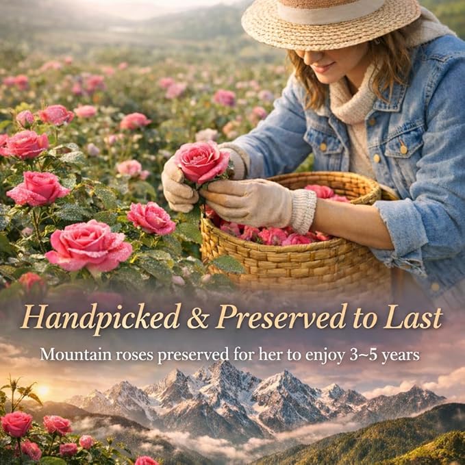 Forever Love Preserved Real Rose with Heart Necklace, Mothers Day Gifts for Mom, Wife, Anniversary Birthday Gifts for Women â Projects âI Love Youâ in 100 Languages