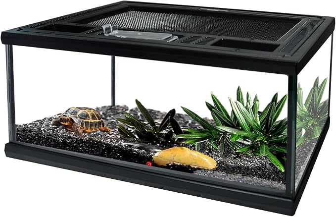 Reptile Glass Terrarium Tank 12"*8"*6",Small Cage Full View with Top Screen Ventilation Habitat Enclosure for Tarantula,Frog,Gecko,Insects,Spiders,Snakes,Hermit Crab,Turtle,Fish