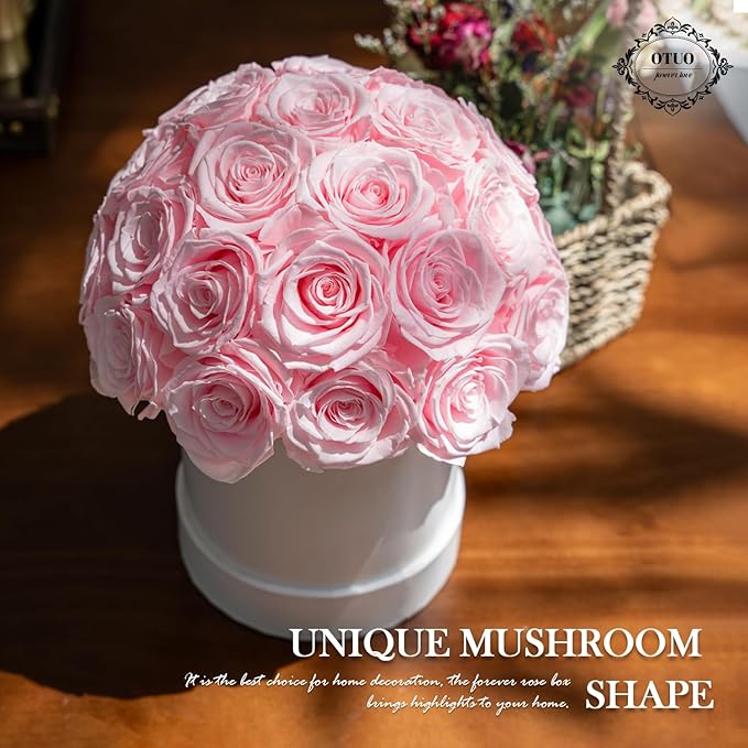 27 Preserved Roses in Round Dome Shape, Mother's Day Real Forever Flowers Rose Box, Eternal Rose Gift for Her Women Girl Friend Wife, Flower Gift for Valentines Day(Pink)