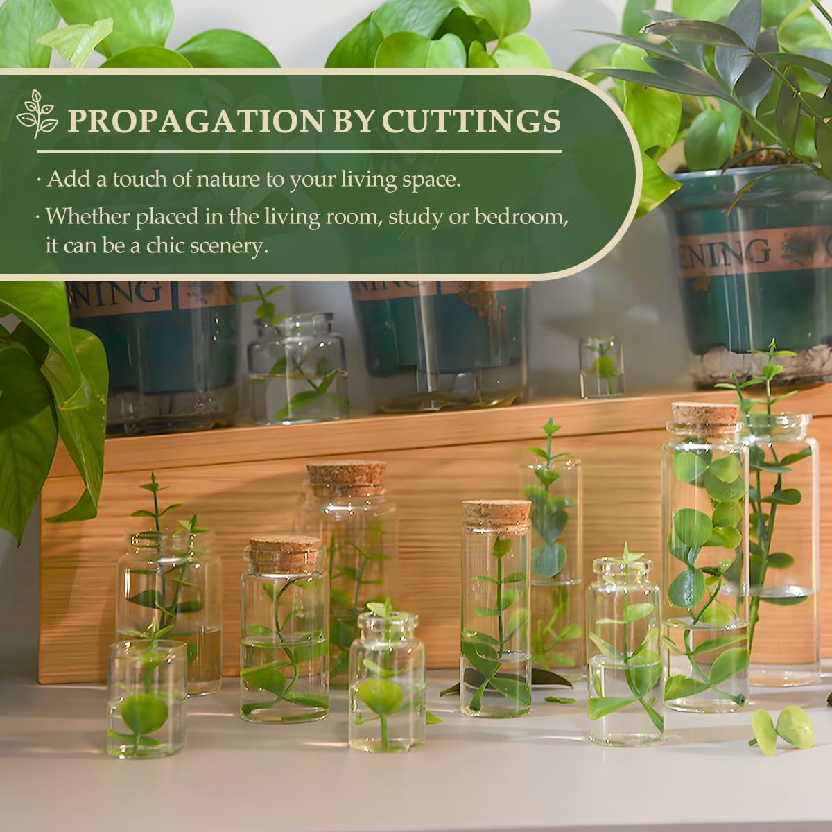 JIUYUE 4 pcs 100 ml Small Glass Bottles,Cork Decoration(3.38 oz-1.85x3.54 inch)