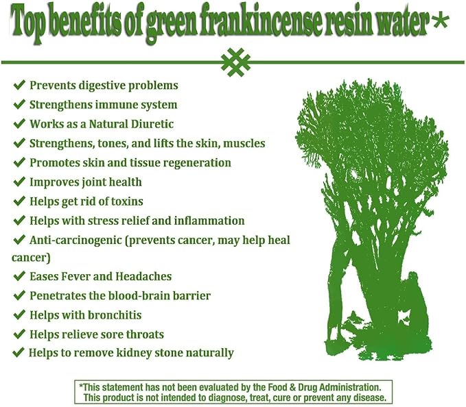 Royal Green Frankincense Hojari from Oman Boswellia Sacra Pure Incense Chruch Incense Olibanum luban (3 oz)