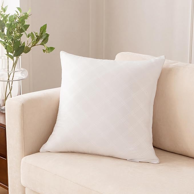 Oubonun 18x18 Inches Pack of 2 Throw Pillows Inserts, White Square Cushion Inner Soft Fluffy Plump Stuffer Pillows Inserts for Sofa Bed Couch