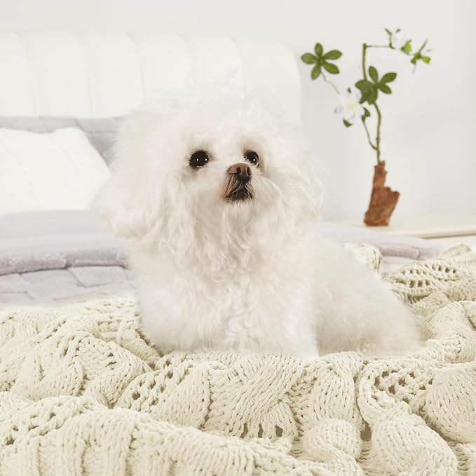 Amélie Home Chunky Knit Throw Blanket, Dual-Sided Soft Chenille Breathable Cable Knitted Blanket for Couch, Farmhouse Decorative Throw for Sofa & Chair, 50"x60", Ivory