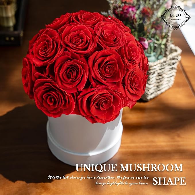 18 Preserved Roses in Round Dome Shape, Mother's Day Real Forever Flowers Rose Box, Eternal Rose Gift for Her Women Girl Friend Wife, Flower Gift for Valentines Day(Red)