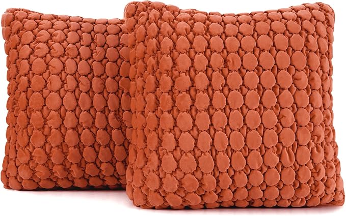 Set of 2 Throw Pillow Covers 18x18 Decorative Farmhouse Pillow Covers Velvet Square Cushion Covers Bubble Texture Pillowcase for Couch Sofa Bed Living Room, Rust