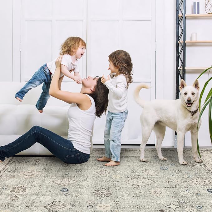 Ruaruarug Washable Area Rug 8x10 for Living Room, Bedroom, Ultra Soft Non Slip Stain & Fade Resistant, Pet & Kids Friendly, Suitable for High Traffic Areas Easy to Clean for Office Kitchen, Gray