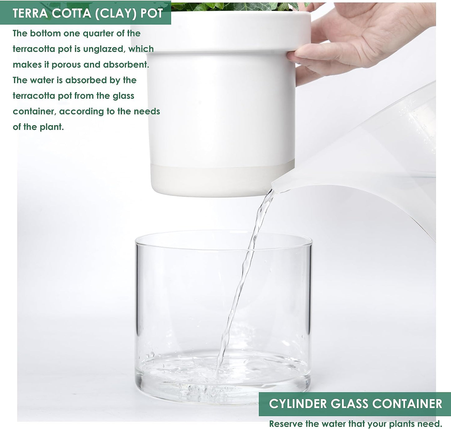 Phoenix Vine 6 Inch Self Watering Planter, White Terracotta Clay Pot with Glass Reservoir for Indoor Plants, Herbs, Flowers, Set of 1, 52-B-F-1