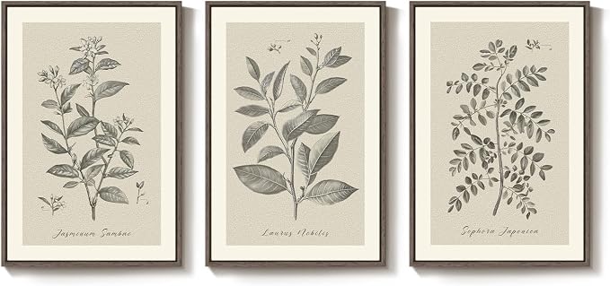 Large Framed Vintage Botanical Wall Art for Living Room, 3 Piece Rustic Farmhouse Plant Canvas Painting Prints Artwork, Neutral Natural Floral Pictures for Bedroom Kitchen Hallway Wall Decor, 24x36 In