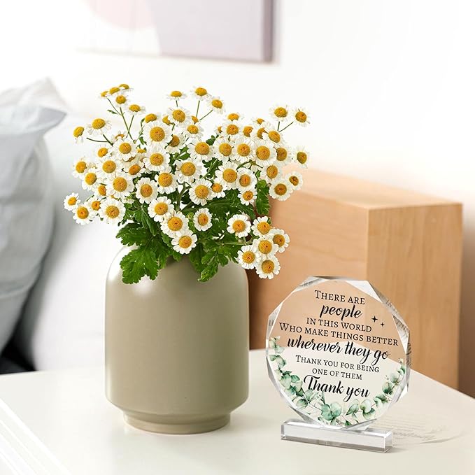 Yinder Thank You Gifts for Women Appreciation Gifts for Coworker Employee Nurse Teacher Leader Boss Inspirational Quotes Acrylic Desk Decor for Home Office Farewell Retirement