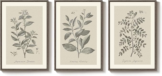 Large Framed Botanical Wall Art for Living Room, 3 Piece Neutral Plant Canvas Painting Prints Artwork for Farmhouse Walls, Vintage Floral Pictures for Bedroom Kitchen Hallway Wall Decor, 20x30 Inch