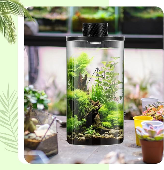 Maxdot Glass Plant Terrarium Kit with LED Grow Light, Desk Terrarium for Venus Fly Trap, Succulents, Moss & Miniature Garden, Borosilicate Glass Desktop Planter for Home Office(7.9 x 3.9 Inch)