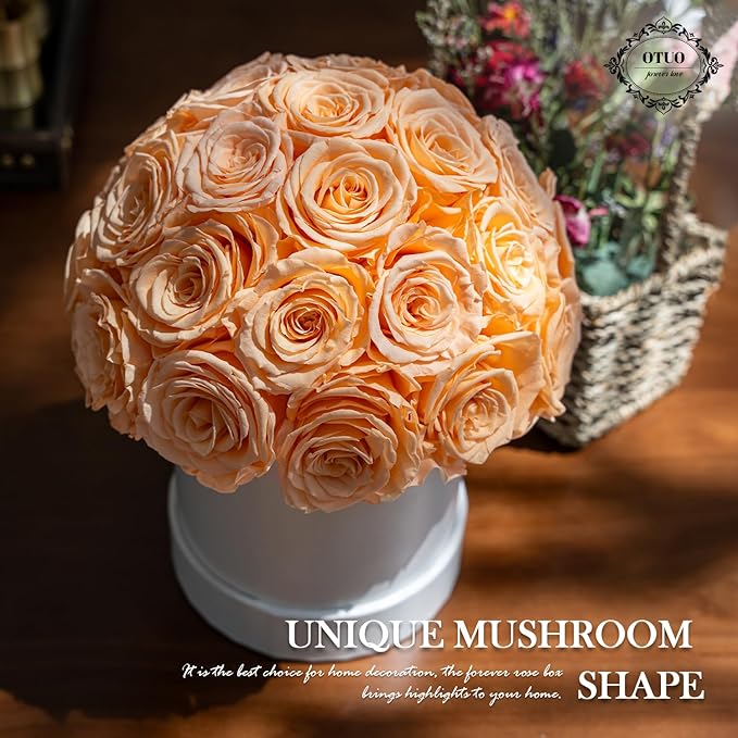27 Preserved Roses in Round Dome Shape, Mother's Day Real Forever Flowers Rose Box, Eternal Rose Gift for Her Women Girl Friend Wife, Flower Gift for Valentines Day(Champagne)