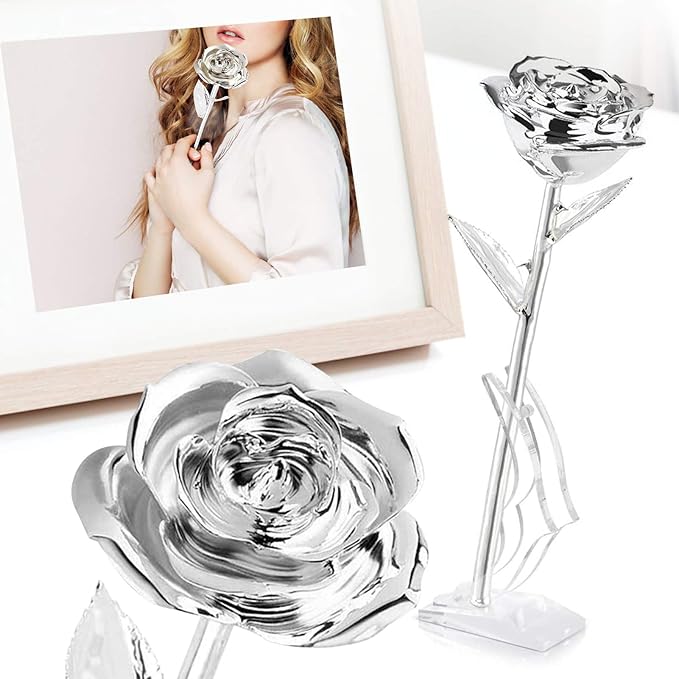 Ejoyous Silver Plated Real Rose Long Stem Forever Preserved Rose Flower for Her Women Wife Mother Girlfriend on Mothers Day Valentine's Day 25th 50th Anniversary Birthday