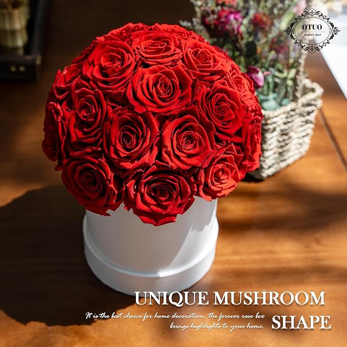27 Preserved Roses in Round Dome Shape, Mother's Day Real Forever Flowers Rose Box, Eternal Rose Gift for Her Women Girl Friend Wife, Flower Gift for Valentines Day(Red)