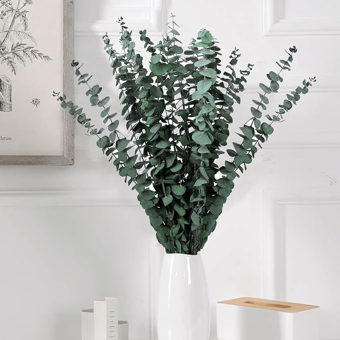 120 Pcs Preserved Eucalyptus for Shower, Dried Flowers Eucalyptus Stems 17" | Fresh preserved eucalyptus branches for shower, weddings, bathroom décor, vase filler and DIY arrangements.