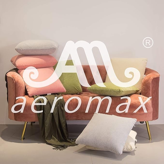 AM AEROMAX 20 ×20 Pillow Insert (Pack of 2) Memory Foam Throw Pillow Insert Sham Square for Decorative Cushion Bed Couch Sofa Without Deform After Longtime Use(Grey)