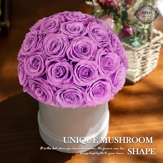 27 Preserved Roses in Round Dome Shape, Mother's Day Real Forever Flowers Rose Box, Eternal Rose Gift for Her Women Girl Friend Wife, Flower Gift for Valentines Day(Purple)