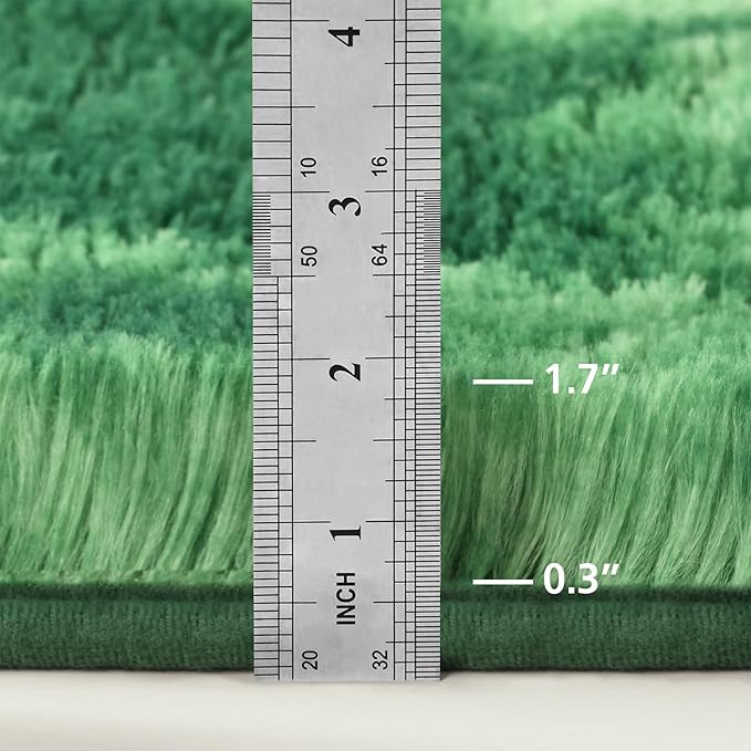 Deerhoo Shag Area Rug, 4 X 6 Tie-Dyed Plush Fuzzy Rugs for Living Room, Ultra Soft Fluffy Furry Rug for Bedroom, Indoor Carpet Nursery Rugs for Kids Room Home Decor, Tie-Dyed Emerald Green
