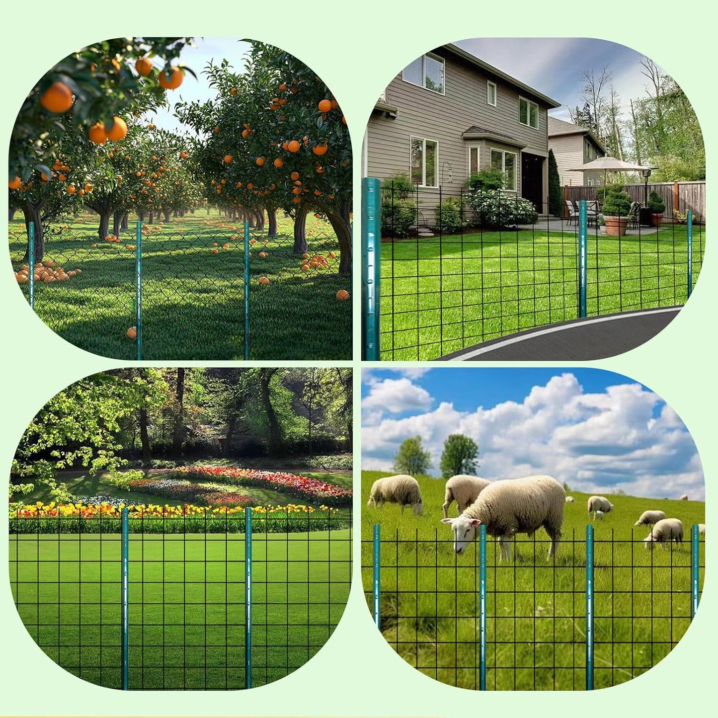 ARIFARO Fence Posts 5 Feet Sturdy Duty Metal Fencing Fencing Poles, Pack of 10, No Dig Garden T Post for Wire Fencing Steel Poles for Yard, Outdoor Wire