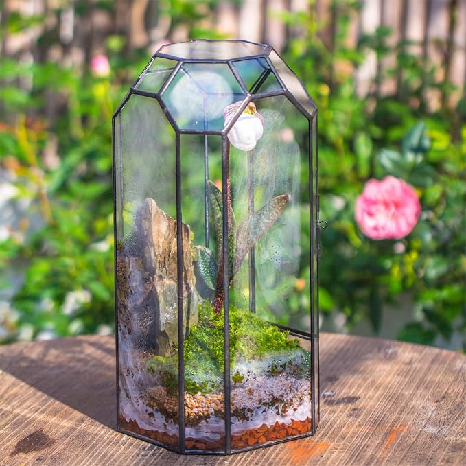 NCYP Glass Geometric Octagon Plant Terrarium with Door 5.5"x5.5"x12.8" | Indoor Vintage Planter for Tall Plants, Orchid, Small Begonia Pitcher, Home Garden Office Tabletop Decor (Terrarium Only)