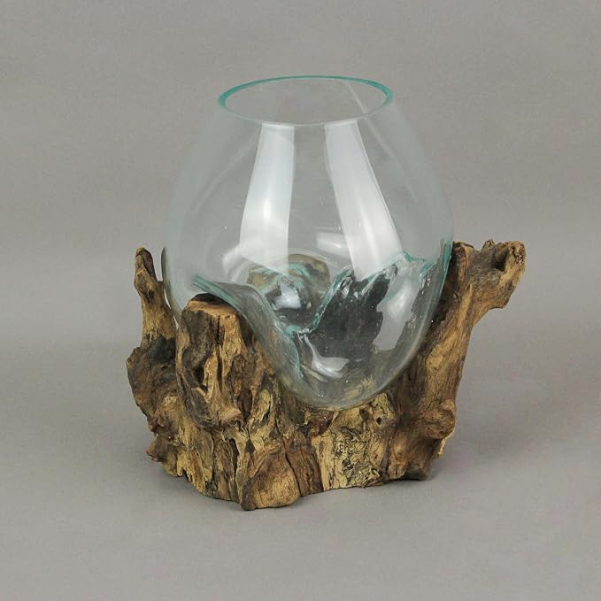Things2Die4 Large Molten Glass Sculptural Bowl / Plant Terrarium On Natural Driftwood Base, Brown, 10 Inch | Clear Hand Formed Vessel, Organic Wood Contours, For Succulents, Air Plants, Herbs, Fairy Gardens