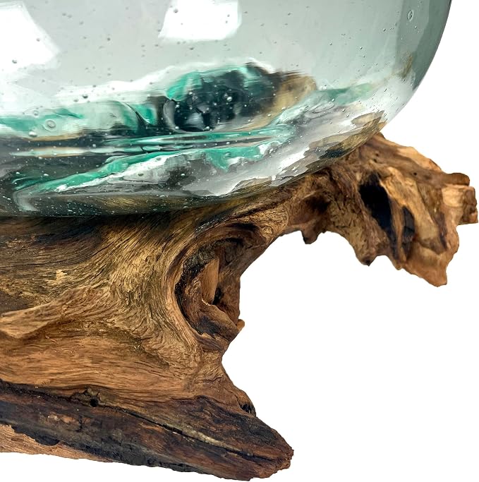 Decorative Vase, 10 Inch Diameter Molten Glass Bowl on Driftwood | Low 6 Inch Profile, Genuine Indonesian Wood, Hand Blown Clear Vessel with Bubbles and Organic Shapes