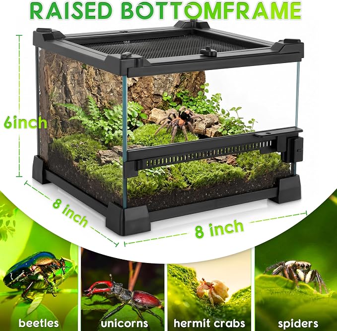 8"x8"x6" Reptile Terrarium, Single-Door Glass Terrestrial Vivarium for Small Arthropod Pets Such as Trinidad Dwarf Tiger Tarantulas, with Lock & Waterproof Deep Base Below Front Door