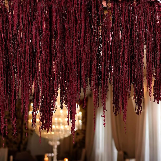 Suncalla 12 Pcs Red Spring Natural Dried Amaranthus Hanging Flowers Amaranthus Artificial Flowers for Wedding Arch Bouquet Floral Garland Wall Home Decoration (23 Inch)