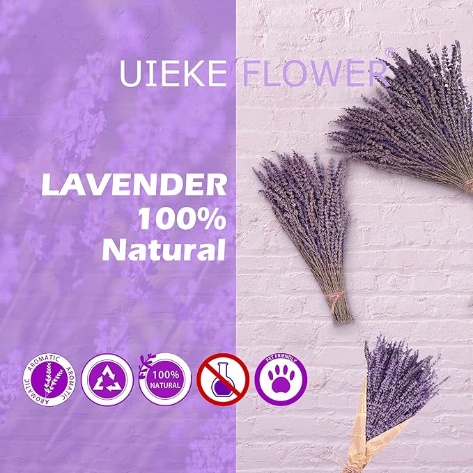 Uieke Dried Lavender Bundles, Natural Dried Lavender Flowers 150 Stems 15-17" for Shower Home Fragrance Weeding Crafts Decor 50g(1.76oz)