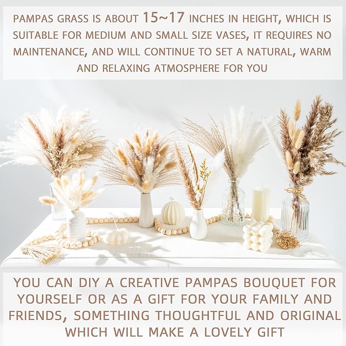 300PCS Natural Dried Pampas Grass Boho Home Decor Bouquet Phragmites Dried Flowers Bouquet for Wedding Floral Arrangements Home Decorations (300PCS)