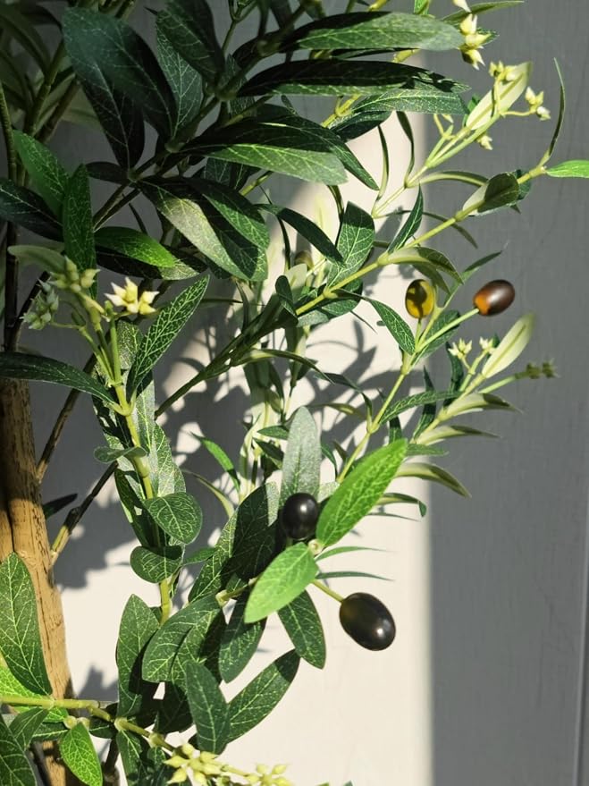 Caxchiling Large Artificial Olive Tree 6FT, Indoor Outdoor Faux Tree | Natural Trunk with Olive Fruits and Buds in White Planter for Home Office Living Room