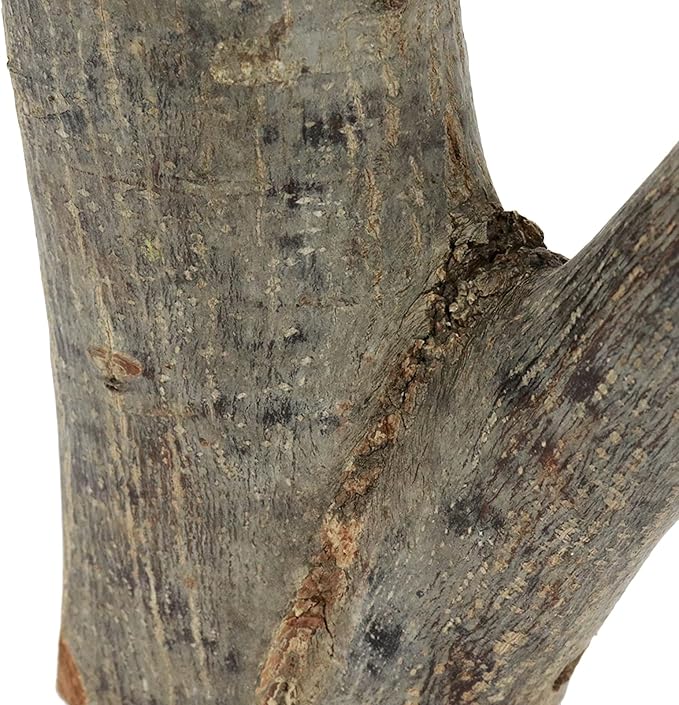 2Pcs Real Wood Tree Branch Wall Hook, Thickness 4cm-5cm with Screw | Farmhouse Rustic Decorative Wooden, with Bark Trunk