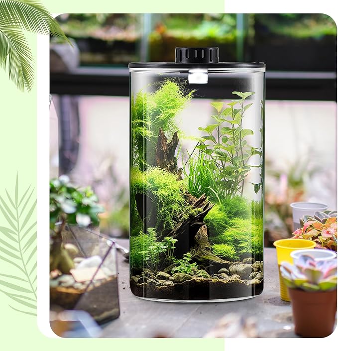 Maxdot Glass Plant Terrarium Kit with LED Grow Light, Desk Terrarium for Venus Fly Trap, Succulents, Moss & Miniature Garden, Borosilicate Glass Desktop Planter for Home Office(9.8 x 5.9 Inch)