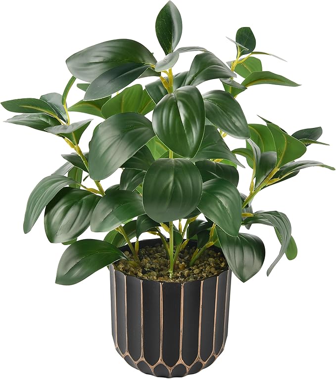 florisso Artificial Succulents with Fig Leaf Greenery in Black & Gold Planter, Fake Succulents Potted Decor for Farmhouse, Bathroom, Bedroom, Kitchen, Office Desk and Coffee Table (Black Gold)