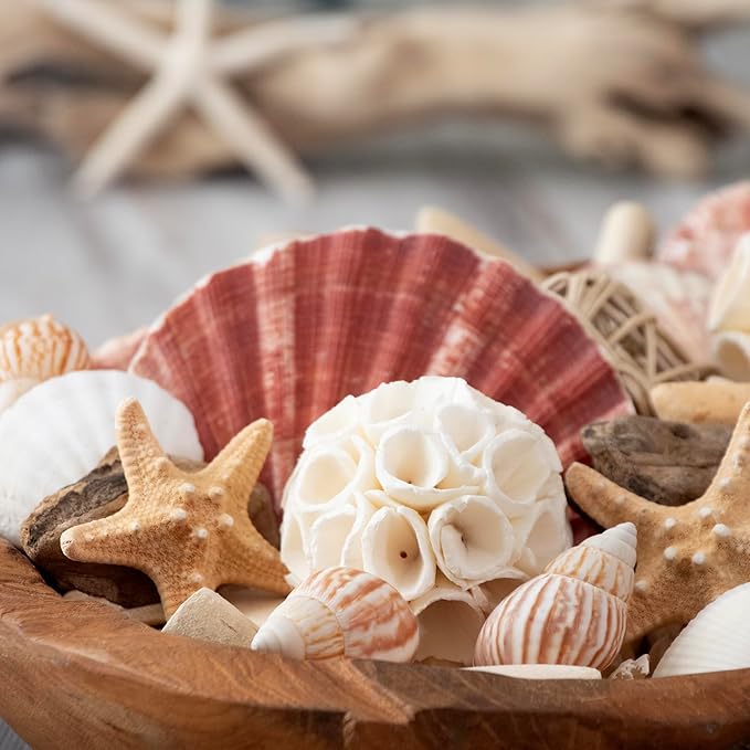 ANDALUCA Maison Box Fragrance Potpourri Decorative Vase & Bowl Filler Home Décor (Coastal Seashells)