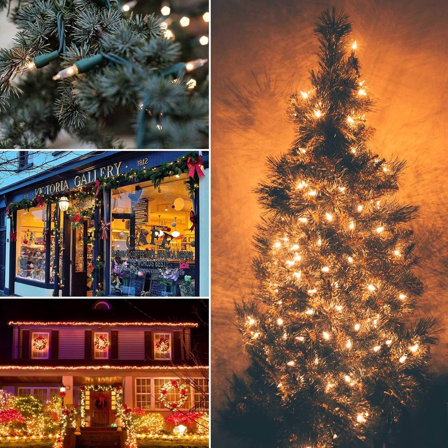 Brightown 50 Count Warm White Christmas Lights, Clear Mini Incandescent Lights on White Wire, Christmas Tree String Lights for Indoor Outdoor Decorations(12ft)