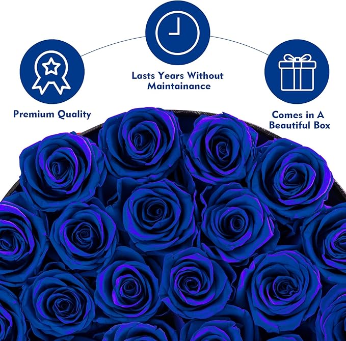 Impouo Forever Flowers, 27 Roses in A Box, Real Preserved Roses, Birthday Gift for Women, Mother's Day, Anniversary Blue Rose