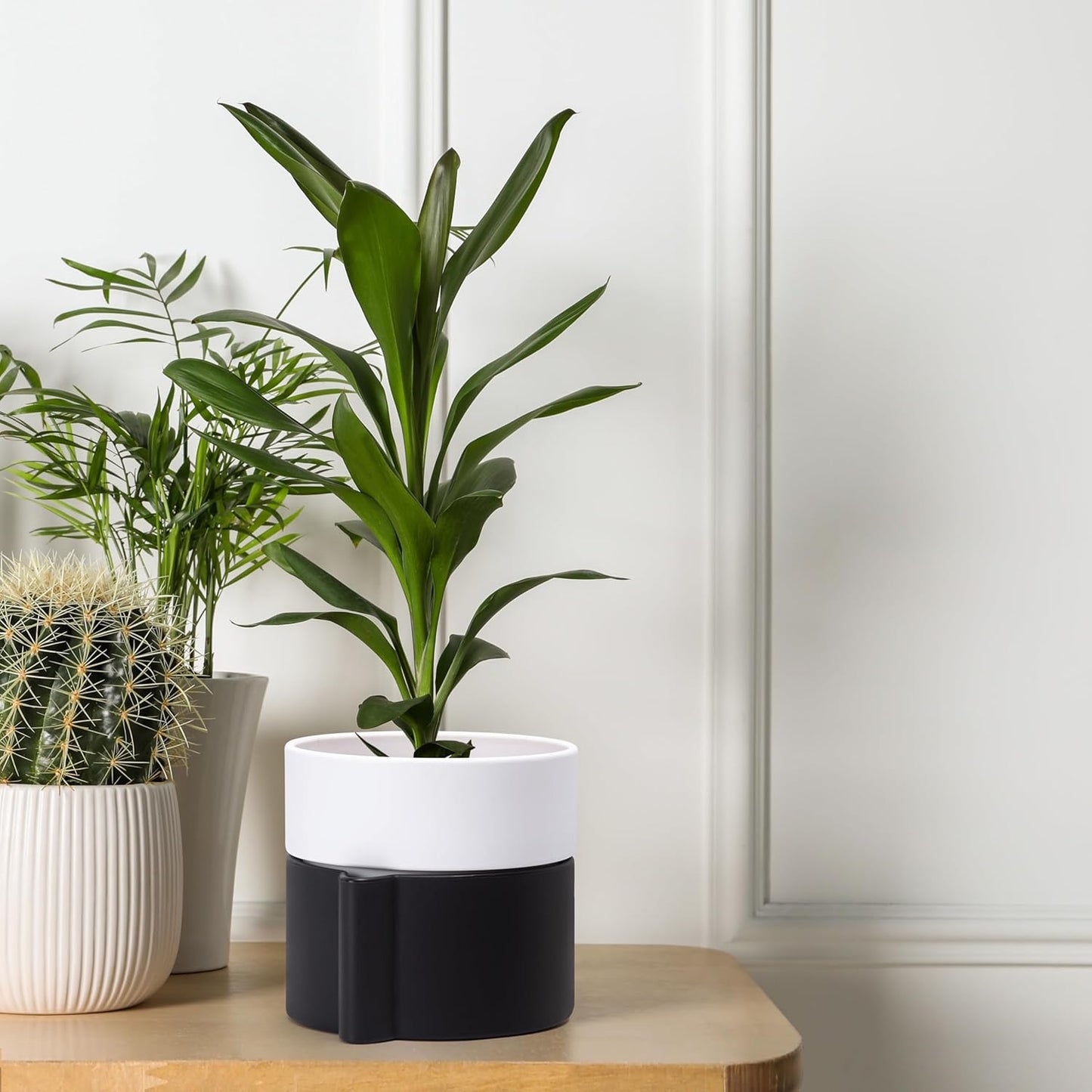 8 Inch Self-Watering Planter Pot with Terracotta Insert, Deep Water Reservoir, and Ceramic-Alike BPA-Free Plastic Planter Pot for Plant, Modern Planter for Houseplants, Black/White, 53-C-T-7