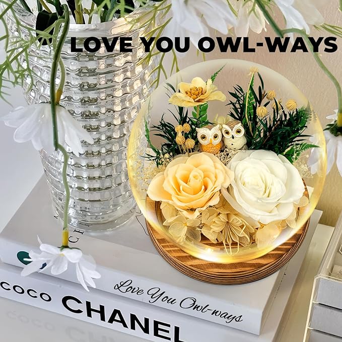 Preserved Flowers Roses Gift for Mom, Wife, Grandma - Forever Real Roses with Owl Decor - Unique Birthday, Mothers Day Gifts for Women - Flower for Delivery