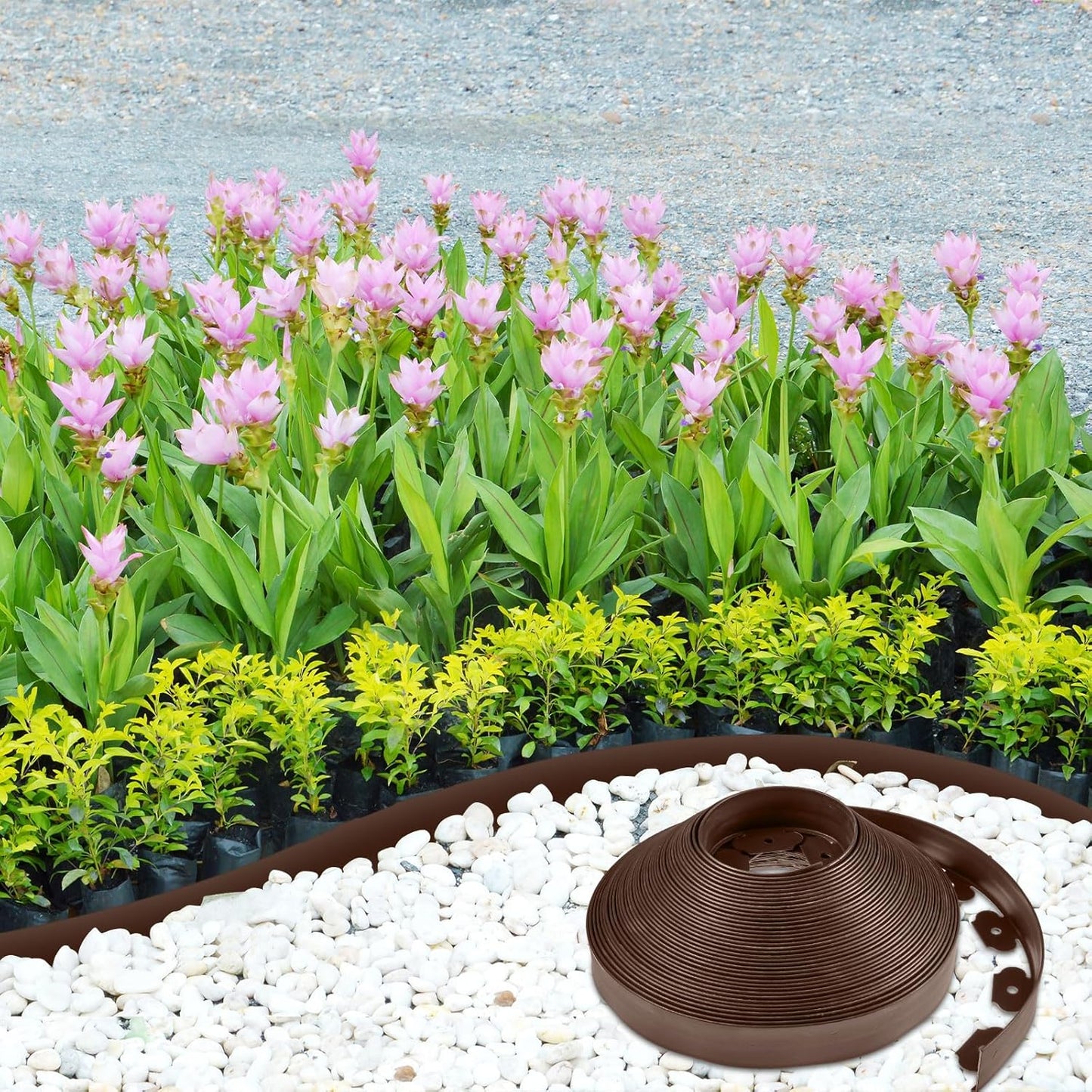 Sasylvia 2.5'' x 200' Landscape Edging Kit Edging Border Coil Include Anchoring Spikes 10 Connectors Plastic Garden Border for Lawn Garden Grass Yard Home(Brown)