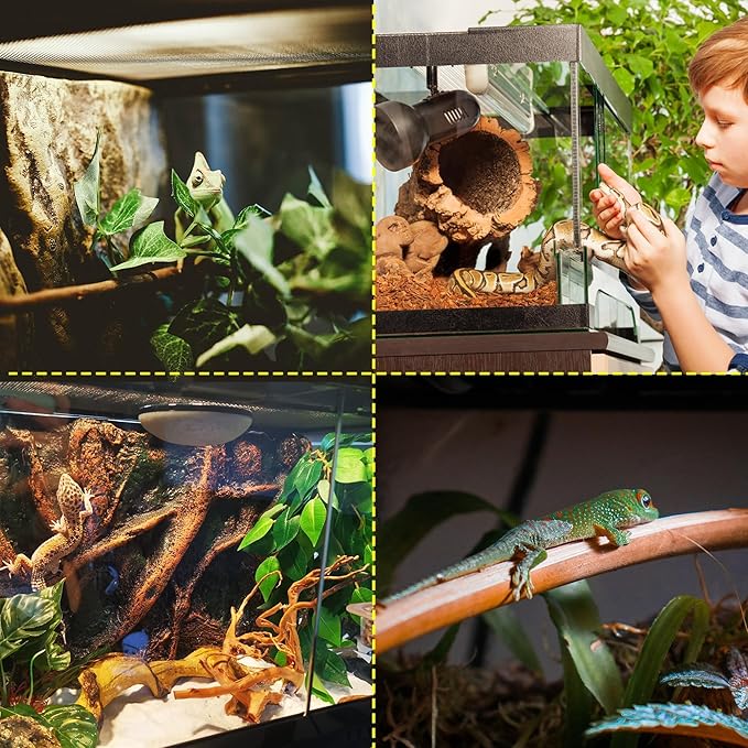 12"x12"x18" Reptile Terrarium, Aluminum-Frame Glass Vivarium for Small Day Geckos Such as Neon Day Geckos, with Lock, Cable Port, Waterproof Deep Base